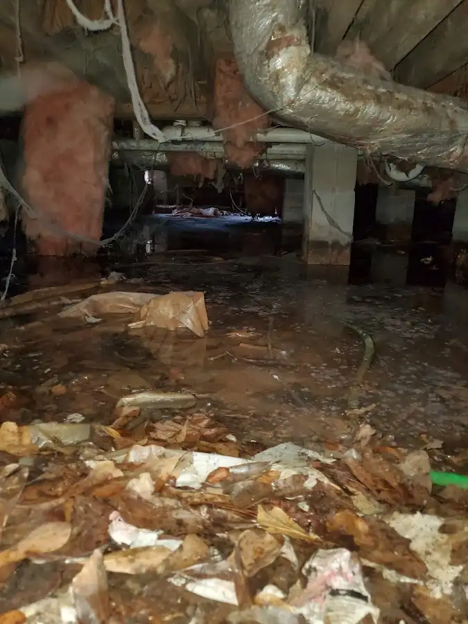 Crawl space flood assessment for Leak Detection & Repair in Cherry Valley