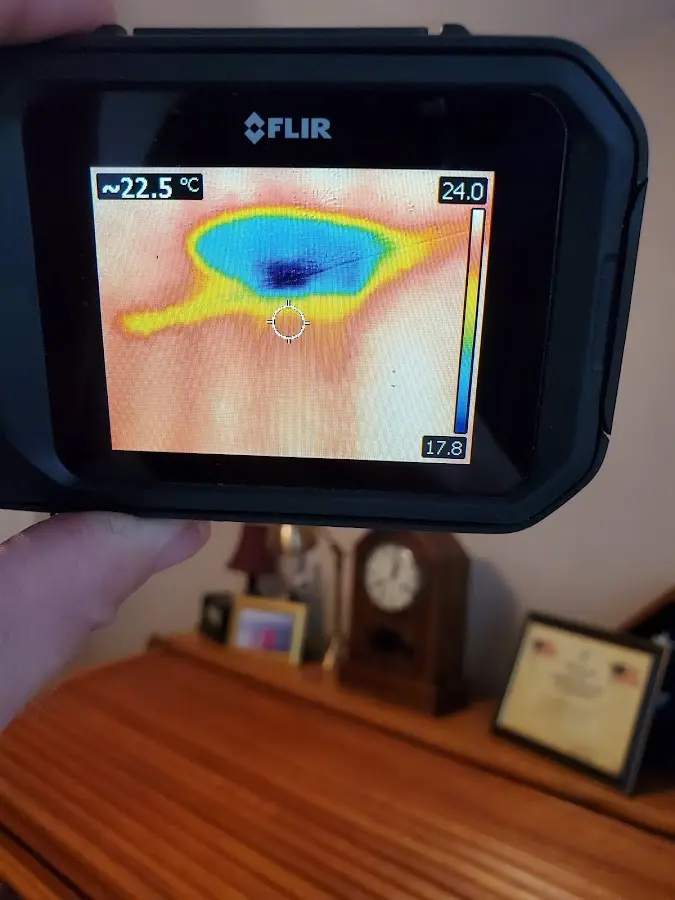 Thermal imaging inspection for water damage in Cherry Valley