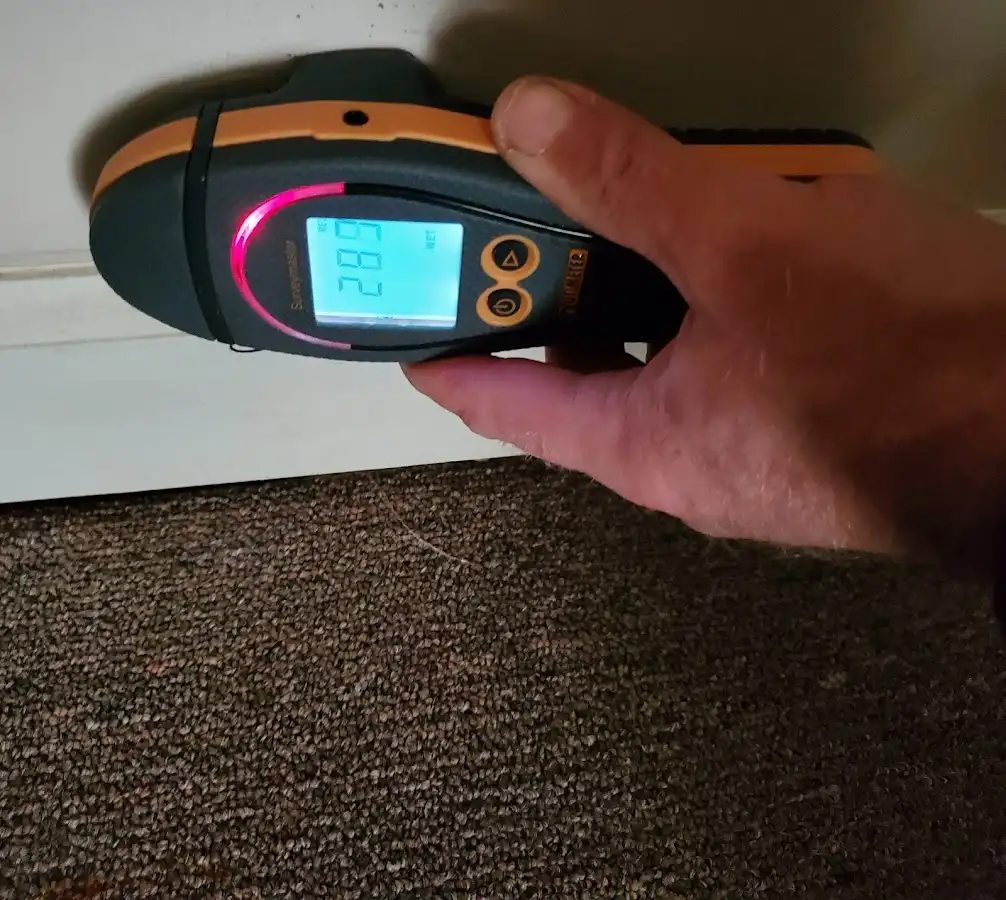 Moisture detection at baseboard during Sewage Cleanup & Sanitation in Cherry Valley
